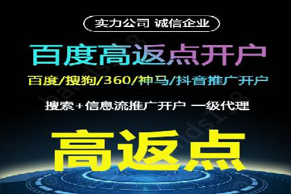 抖音信息流代理在电商行业的应用案例分析